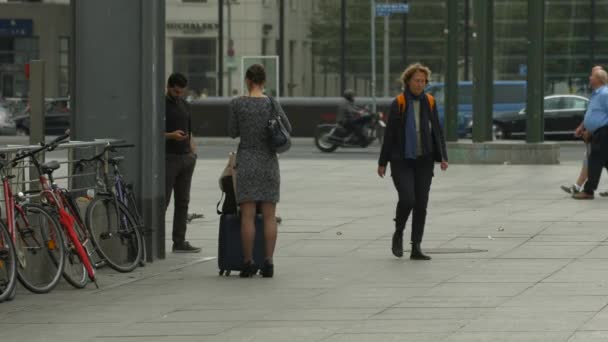 Una Donna Con Bagagli Una Strada — Video Stock