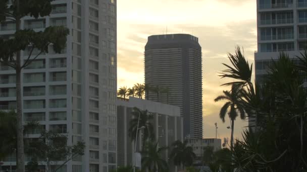 Gebäude Panama City Bei Sonnenuntergang — Stockvideo