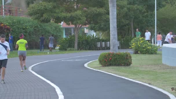 Courir Marcher Dans Une Ruelle Parc — Video