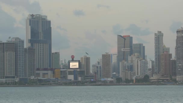 Panoramautsikt Över Centrala Panama City — Stockvideo