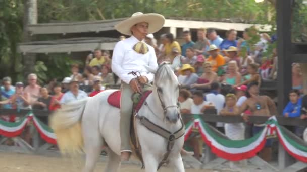 Mexikaner Auf Einem Pferd Cancun — Stockvideo