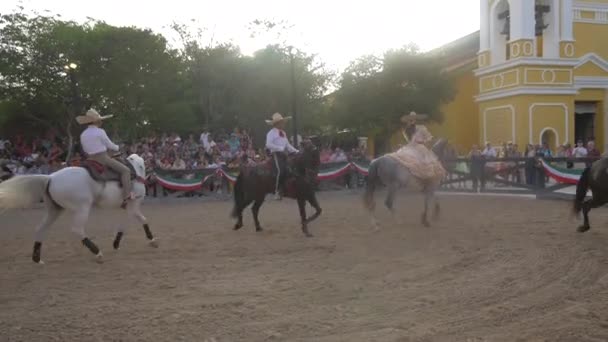 Mexikanska Ridhästar Cancun — Stockvideo