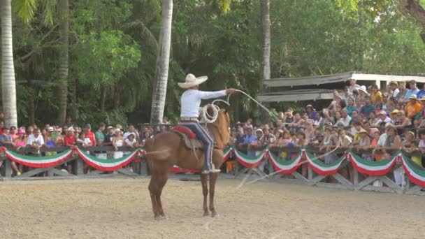 Mexikaner Dreht Pferd Ein Lasso — Stockvideo