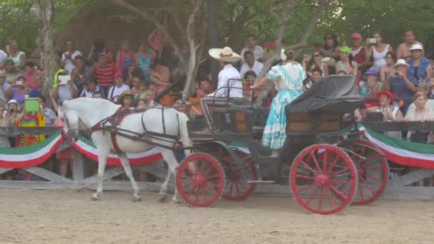 Mexican Woman Riding Horse Carriage Show — Stock Video