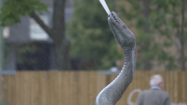 Snake Sculpture Water Fountain — Stockvideo