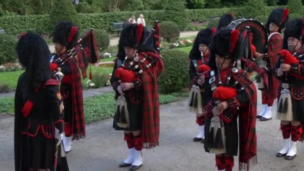 Group Men Playing Bagpipes — Stock Video