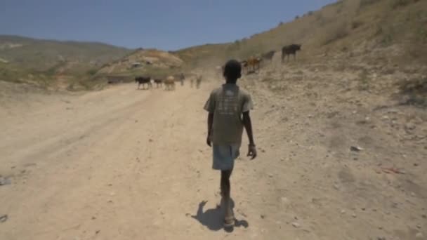 Miúdo Haitiano Caminhar Numa Estrada — Vídeo de Stock