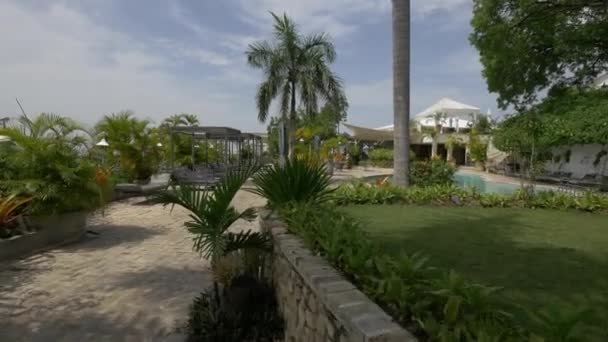 Jardin Piscine Karibe Hotel — Video