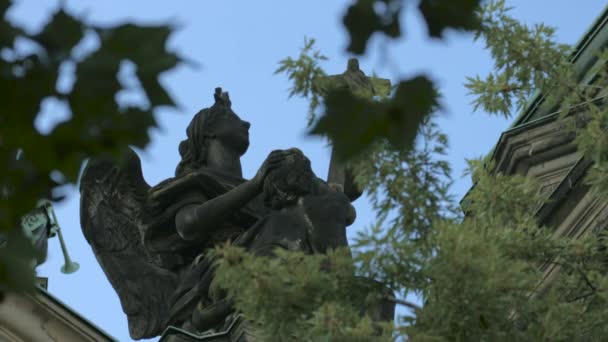 Engel Statue Set Gennem Grene – Stock-video