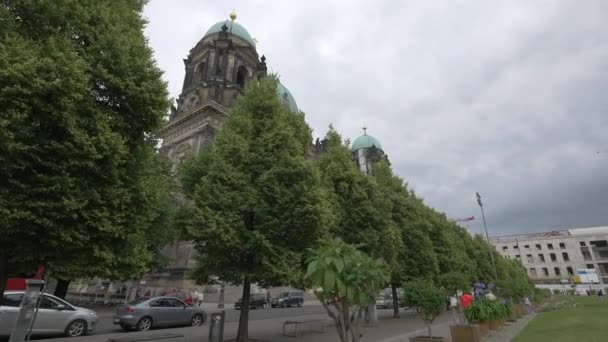 Green Trees Front Cathedral — Stock Video