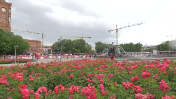 Rosas Cor Rosa Perto Uma Fonte Água — Vídeo de Stock