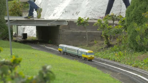 Demiryollarında Yuvarlanan Minyatür Bir Tren — Stok video
