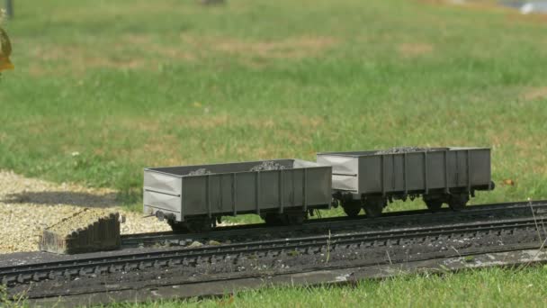 Miniature Train Rolling Railcars — Stock Video