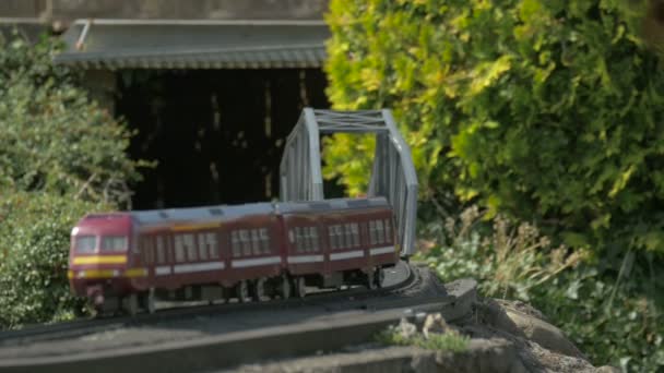 Miniature Passenger Train — Stock Video