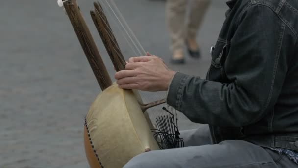 Detailní Záběr Rukou Hrajících Nástroj Kora — Stock video