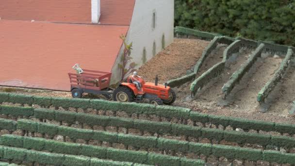 Close Van Een Miniatuur Wijngaard — Stockvideo