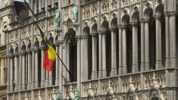 Bandeira Bélgica Uma Fachada Edifício — Vídeo de Stock