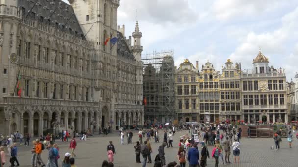 Edificios Grand Place Bruselas — Vídeos de Stock