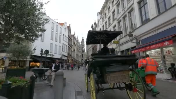 Carriage Driving Street — Stock Video