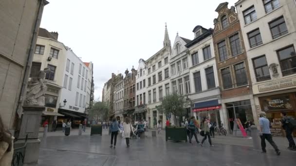 Une Zone Piétonne Dans Centre Ville Bruxelles — Video