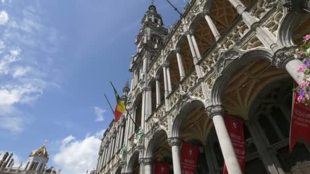 Niski Kąt Fasady Muzeum Miejskiego Brukseli — Wideo stockowe