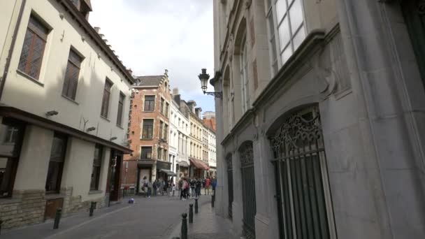 Buildings Narrow Street Brussels — Stock Video
