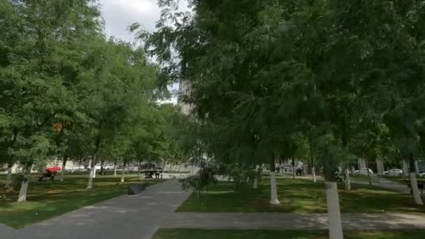 Árvores Verdes Num Parque — Vídeo de Stock