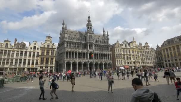 Buildings Grand Place Brussels — Stock Video