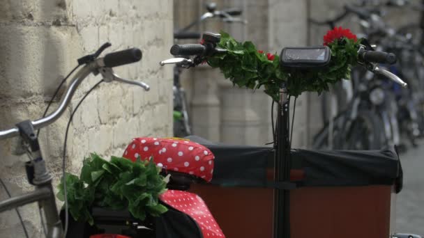 Twee Gedecoreerde Fietsen Met Rode Stoelen Bloemen — Stockvideo