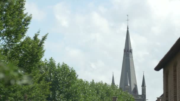 Tour Vue Derrière Des Branches Arbres Verts — Video