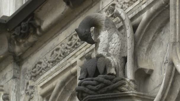 Tierische Skulptur Auf Einem Gebäude — Stockvideo