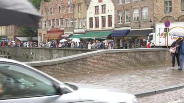 Turister Med Paraplyer Bron Över Dijver Canal — Stockvideo