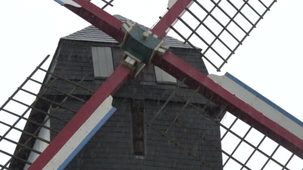 Sint Janshuismolen Větrný Mlýn Bruggách — Stock video