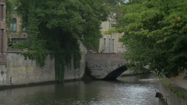 Dijver Kanalı Üzerindeki Köprü — Stok video