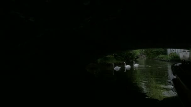Plachtění Dijverském Průplavu Pod Mostem — Stock video