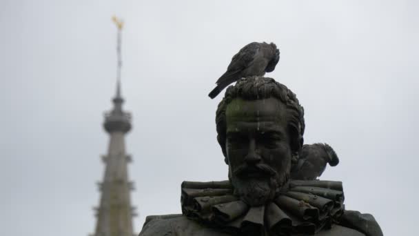 Tauben Auf Einer Statue — Stockvideo