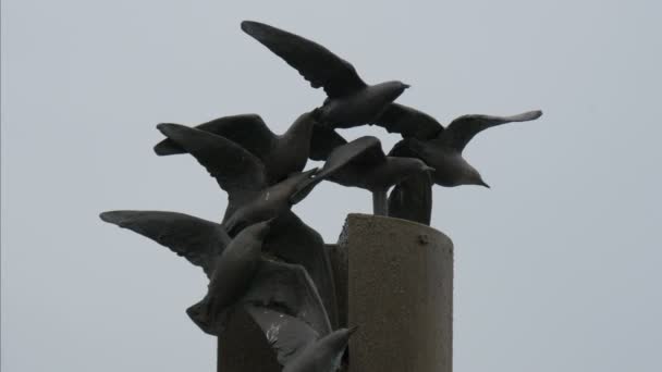 Sculptures Birds Travel Concept — Vídeos de Stock