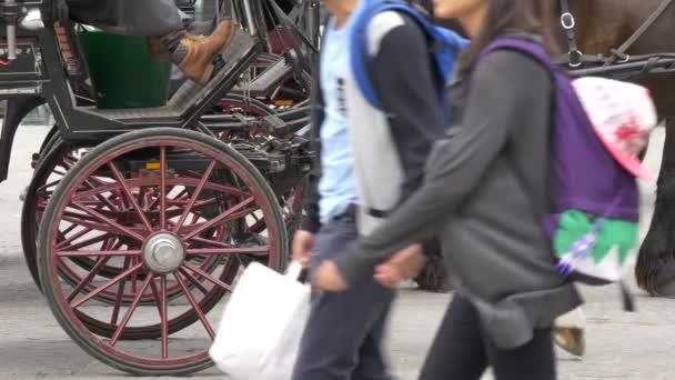 马车的轮子 — 图库视频影像