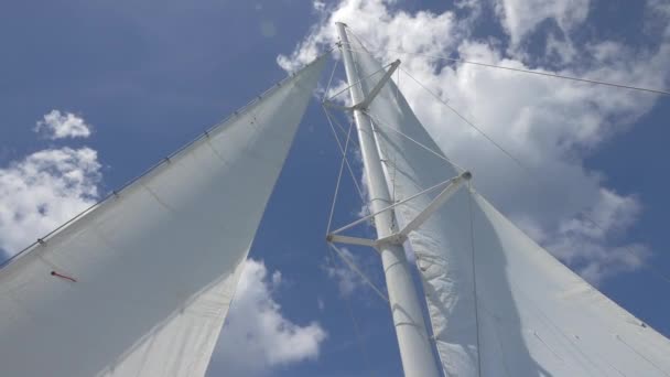拿着帆的白色桅杆 — 图库视频影像