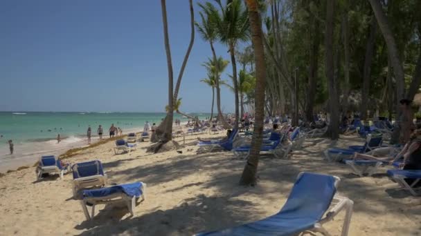 Leżaki Plaży Punta Cana — Wideo stockowe