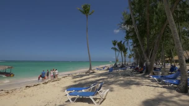 Leżaki Plaży Punta Cana — Wideo stockowe