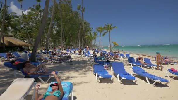 Ludzie Relaksujący Się Leżakach Punta Cana — Wideo stockowe