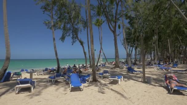 Plaża Leżaków Punta Cana — Wideo stockowe