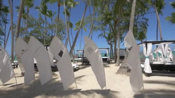 Drapeaux Agitant Sur Plage Punta Cana — Video