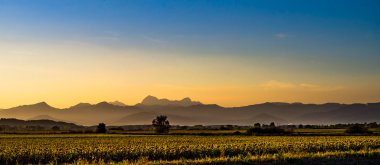 Toskana bir gün batımı sırasında son güneş