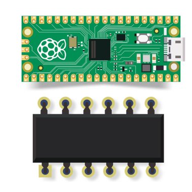 Ahududulu Pi Pico. Mikro kontrollü tahta. Elektrik bileşenleri
