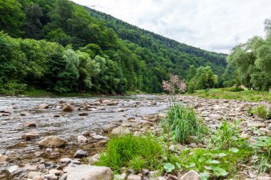 Dağlarda küçük nehir