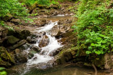 Dağlardaki küçük şelale