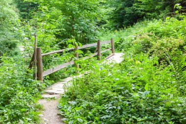 Nehrin üzerindeki tahta köprü.