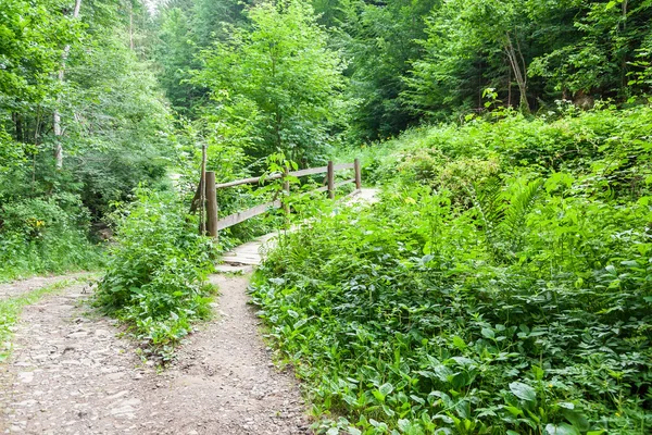 Nehrin üzerindeki tahta köprü.